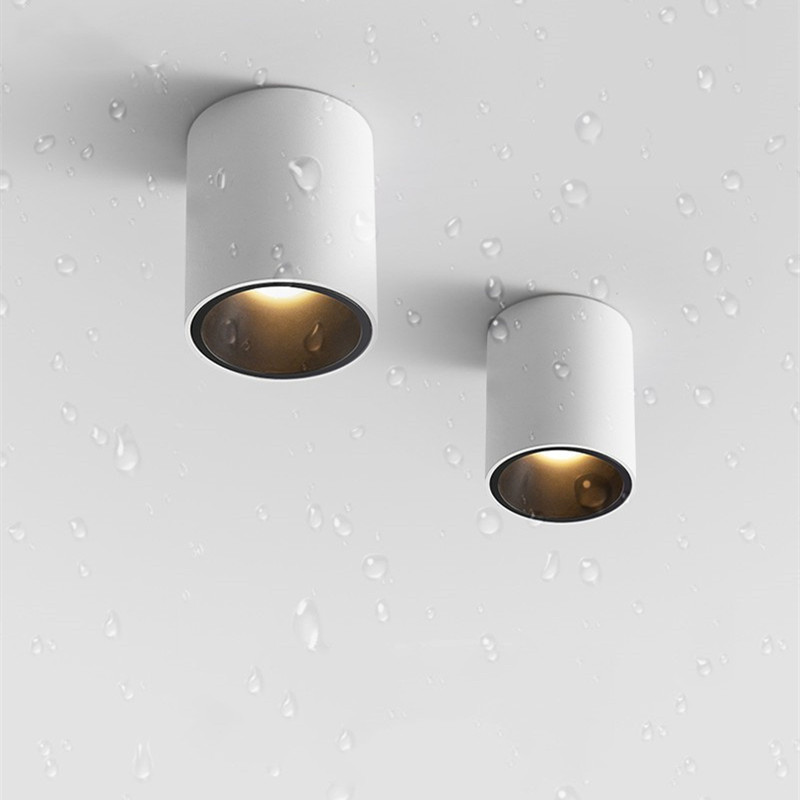 CRI97 Led open waterproof IP65 - Outdoor Lighting Under Roof avaliação e preço