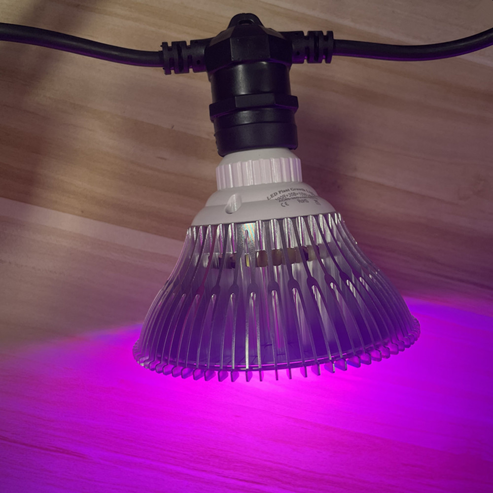 10M Cable LED String Commercia - Outdoor Lighting And Landscape avaliação e preço