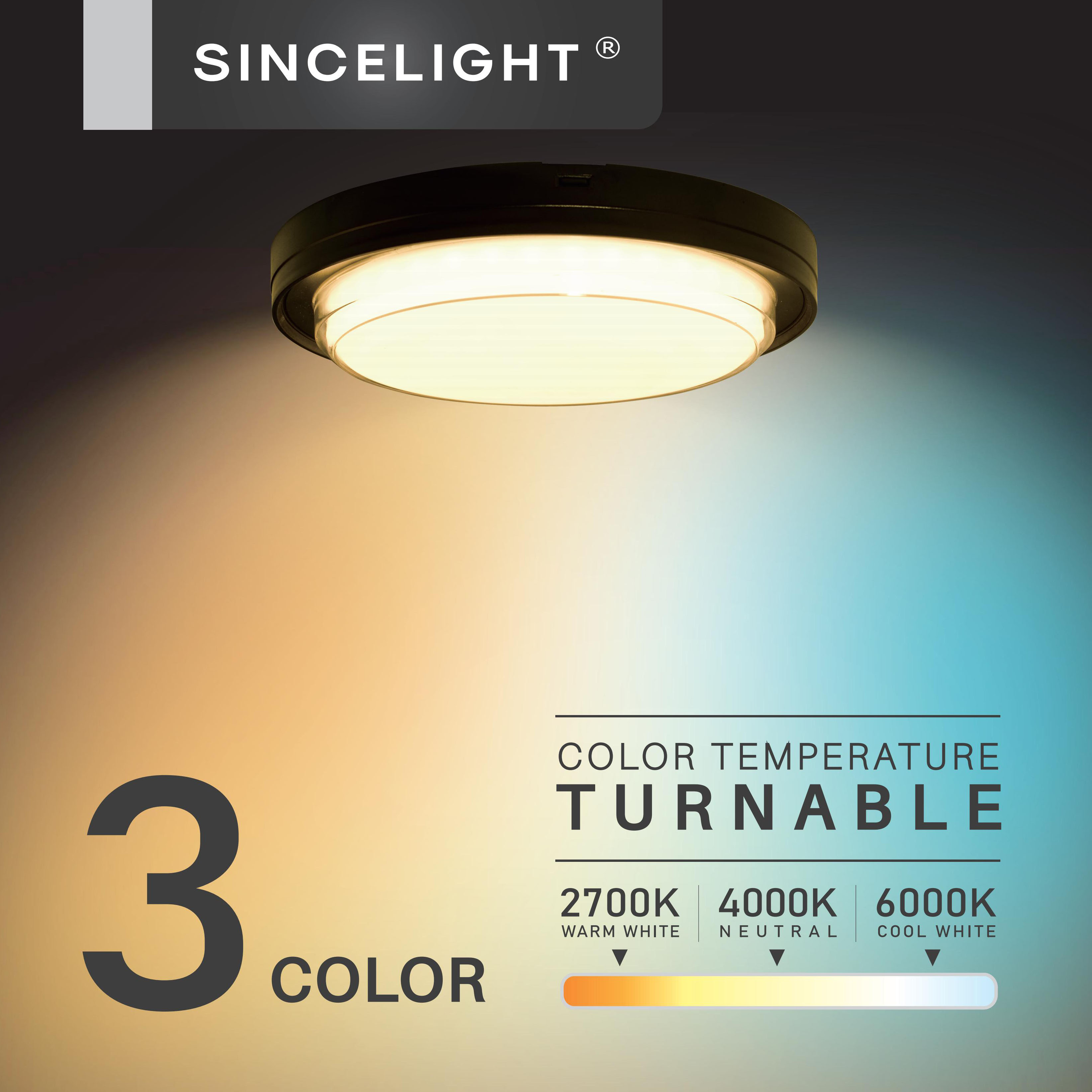 LED IP65 Bulkhead for Ceiling  - Outdoor Lighting Under Roof avaliação e preço
